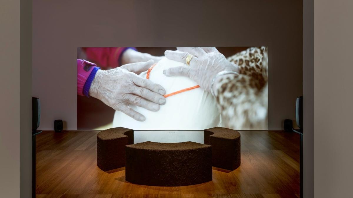 Yo-E Ryou - Ellipses ll (installation view)